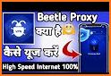 Beetle proxy related image