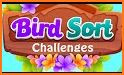 Bird Color Sort - Match Puzzle related image