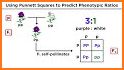 Mendel Sensors related image