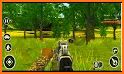 Deer Hunting 2020: Wild Animal Safari Hunting Game related image