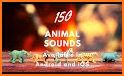 150 Animal Sounds related image