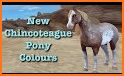 Chincoteague Pony Names related image