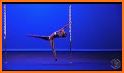 Pole Dance Companion related image