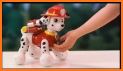 Paw Ryder Race - The Paw Patrol Human Pups related image