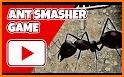 Ant smasher : kids games related image