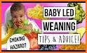 Baby Led Weaning - Guide & Recipes related image