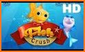 Fish Matching Puzzle - Free Crush Game related image