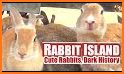 Rabbit Island related image