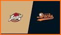 Long Island Ducks related image