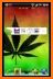 Color Rasta Weed Keyboard related image