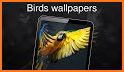 Birds Sounds Ringtones & Live Wallpapers related image