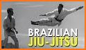 BJJ 101 Volume 1 related image