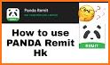 Panda Remit related image