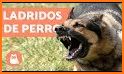 Traductor de perros (ladridos) related image