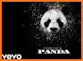 Panda English related image