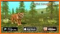 Wild Cougar Sim 3D related image