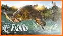 Arcade Carp Fishing - Pike, Perch, Catfish & more related image