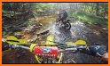 Quad Bike:Forest related image