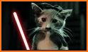 Cute kittens in space related image