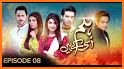 Hum Network - Hum News & Dramas related image