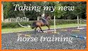 Polework Horse Riding Training related image