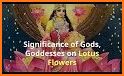 Lotus: Hindus App related image