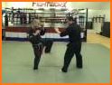 American Kenpo Quick Reference related image