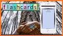 Flashcards Club - Create/Share related image