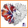 Jigsaw Coloring - Free Color By Number Puzzle Game related image