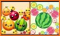 Merge Fruit - Watermelon game related image