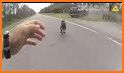 US Police Dog Chase 2019 related image