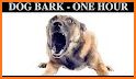 Dog Barking Sounds and Noises related image