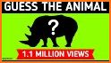 Animal Match : Shapes related image