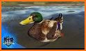 The Hunt: Wild Duck Hunting Season related image