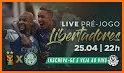 TV Palmeiras PLAY related image