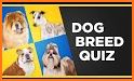 Dog Quiz Guess Dog Names Test ❓🐕⁉🐶❤ related image