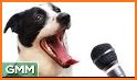 Speak Animals related image