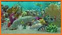 Aquarium 3D - Fish Farm related image