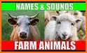 Animal sounds (English) related image