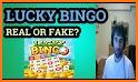 Lucky Bingo to Play related image