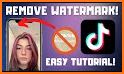 Download TikTok Video No Watermark related image