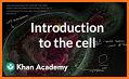 Cell Biology-101 related image