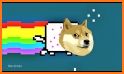 Nyan Dog Challenge related image