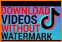 SSS Video Downloader for TikTok - No Watermark related image