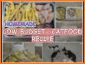 Cat food recipes – Homemade cat food related image