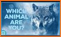 Which Animal Are You? related image