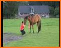 Equisense - Horse riding improvement related image