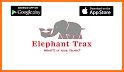 Elephant Trax related image