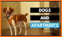 Dog Condo related image