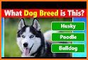 Quiz School | Dog breeds related image